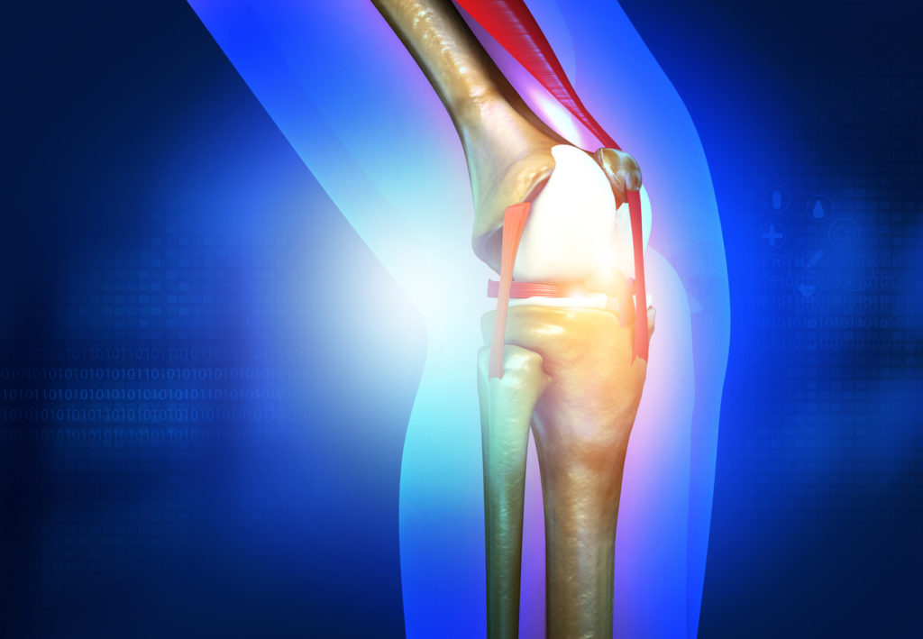 Illustration of a knee joint